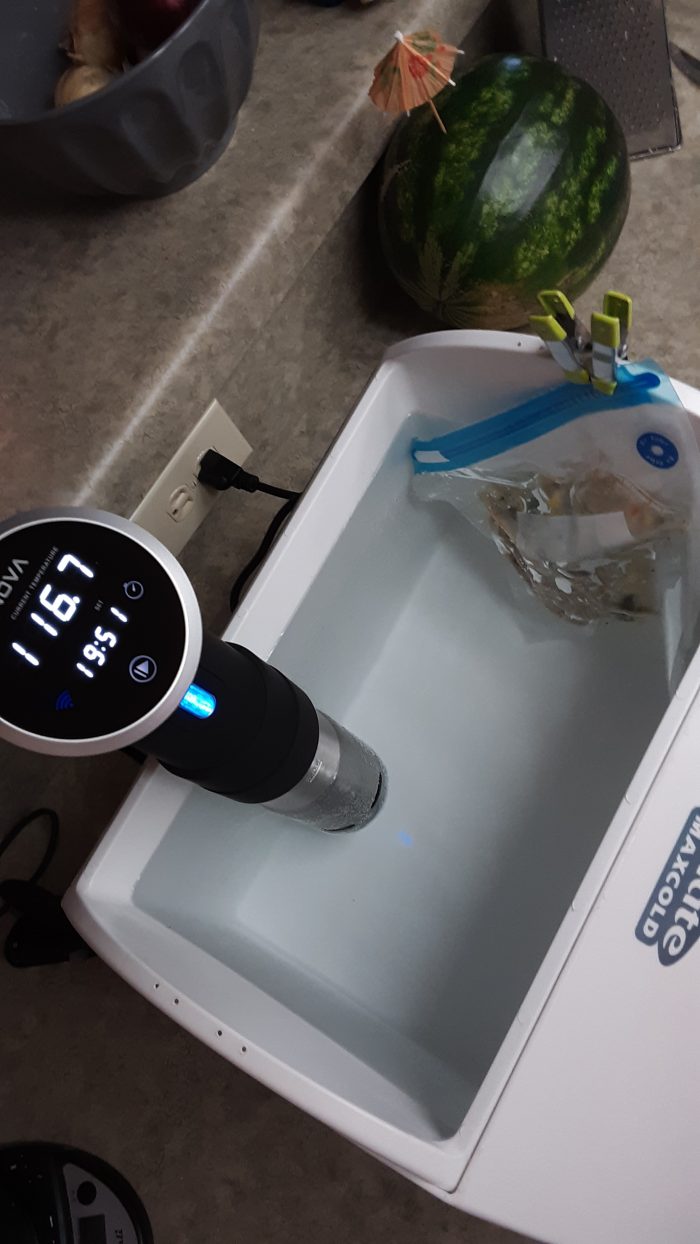 sous vide immersion cooker warming a water bath in a cooler