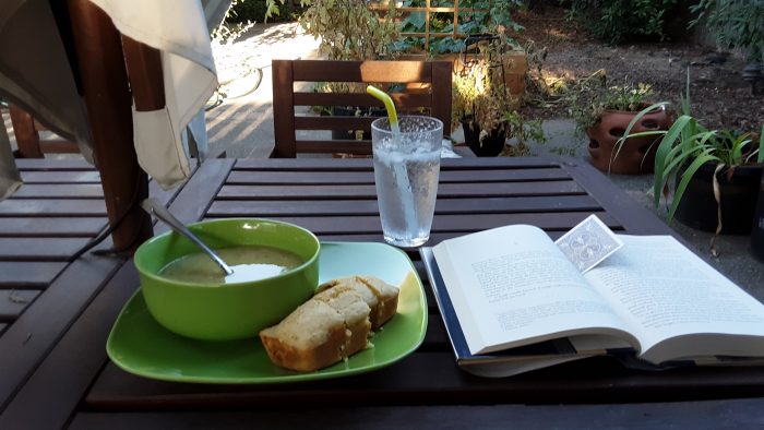 a meal and a book on a table in my backyard