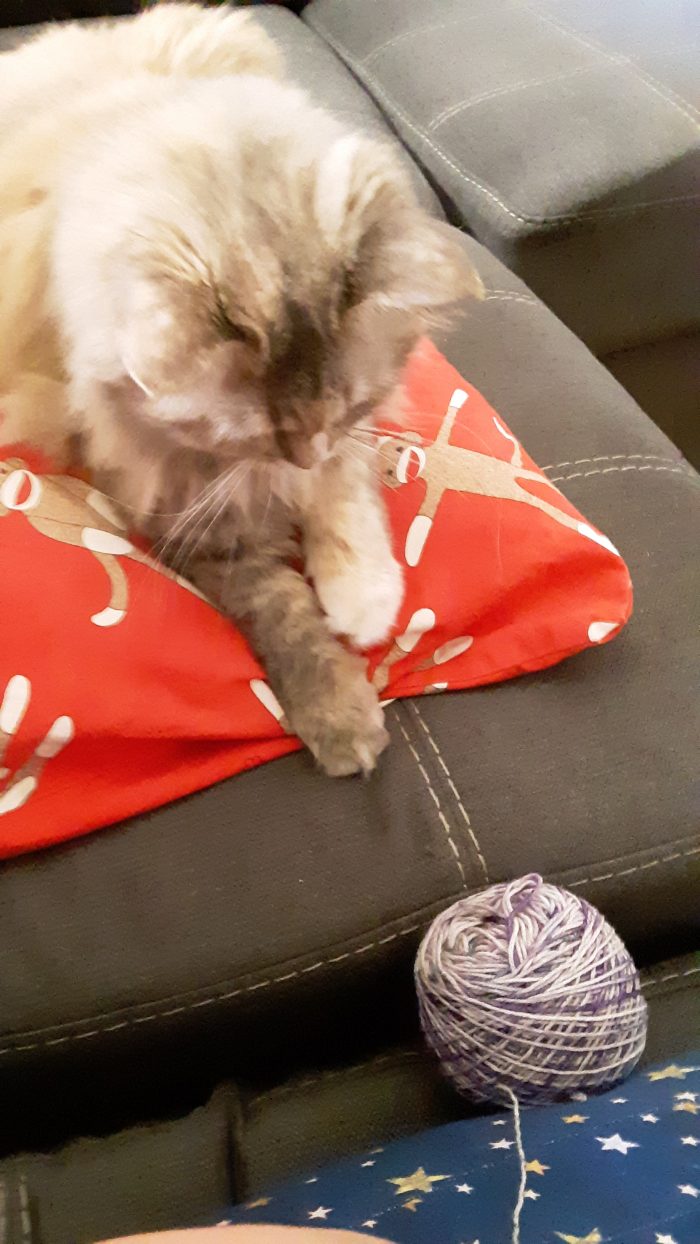 Viola the cat, sitting on a pillow, reaching for a ball of yarn