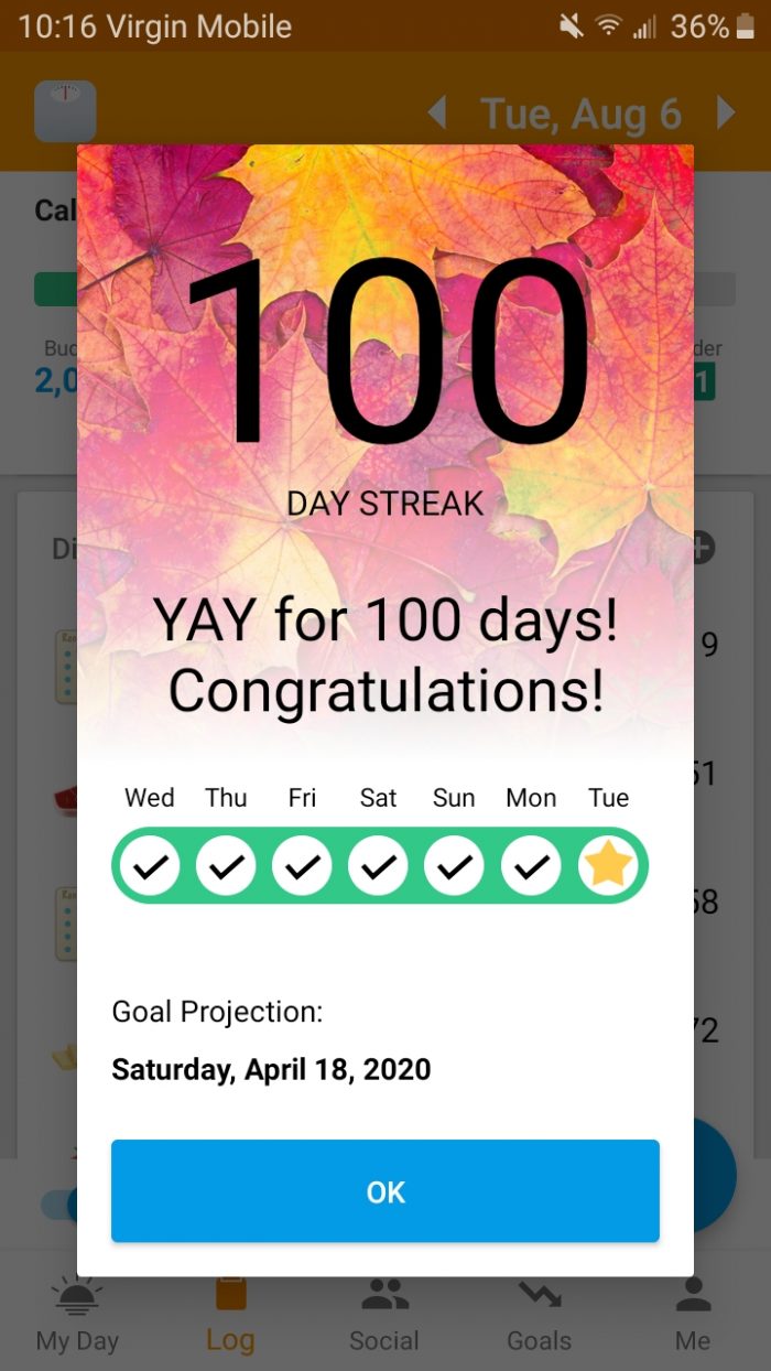 screenshot of the Lost It app congratulating me on a 100-day streak