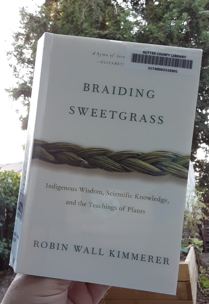 the book "braiding sweetgrass"