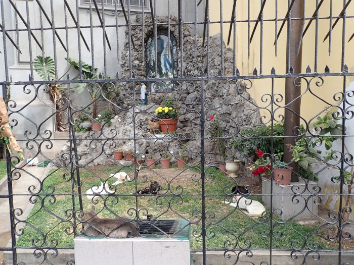 cats lounging in a shrine/garden in front of a church, seen through a metal fence