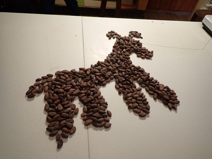 a pile of cocoa beans shaped into a two-dimensional image of what is supposed to be a llama but looks more like a dog