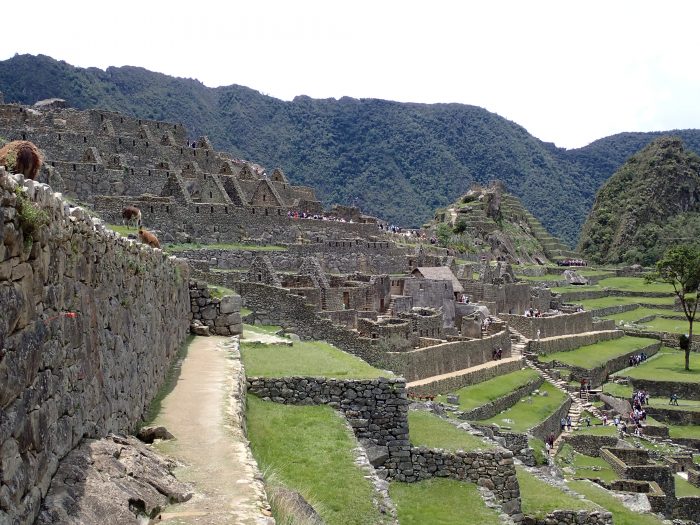view of the "town" in Machu Picchu