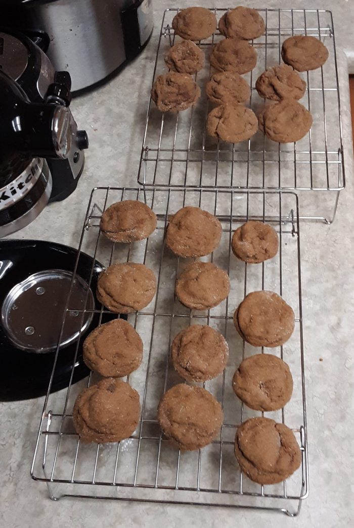two wire cooling racks covered in gingersnaps