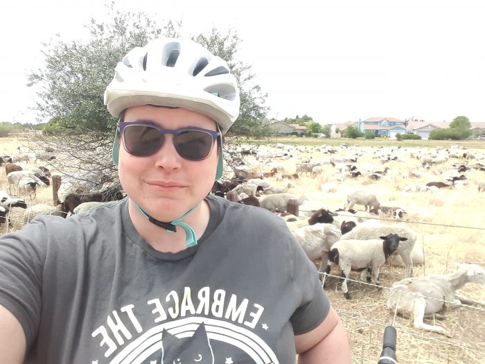me, in a bike helmet with sheep and goats grazing in the background