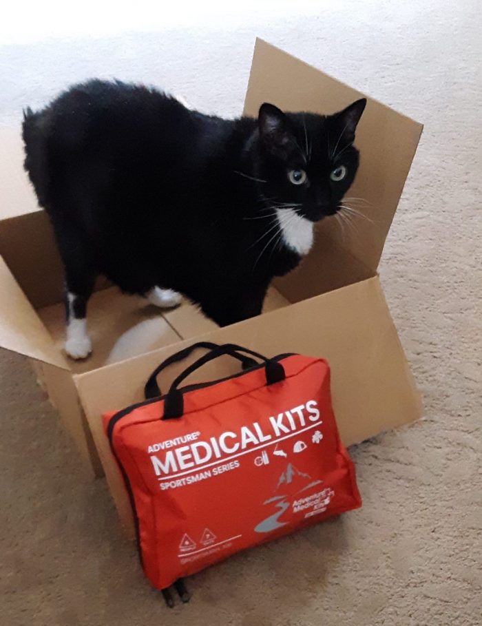 Huey the cat standing in a box. There is a first aid kit leaning against the box