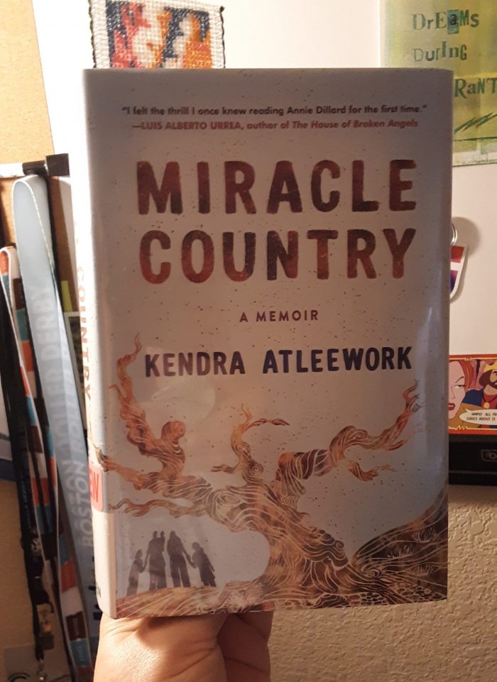 book: Miracle Country