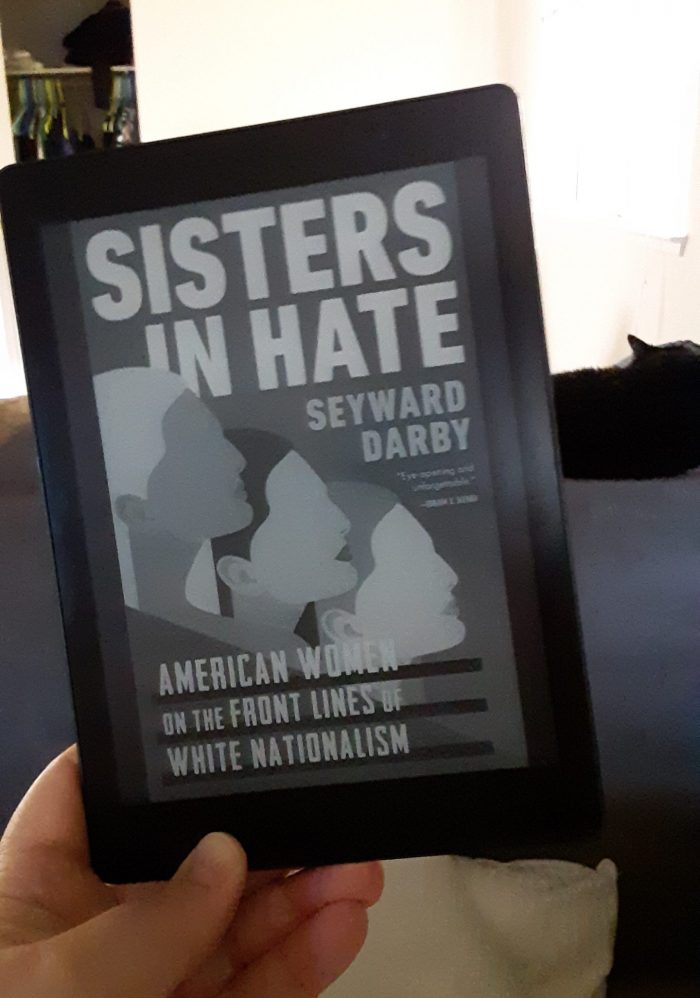 Book cover of Sisters in Hate seen on Kobo ereader