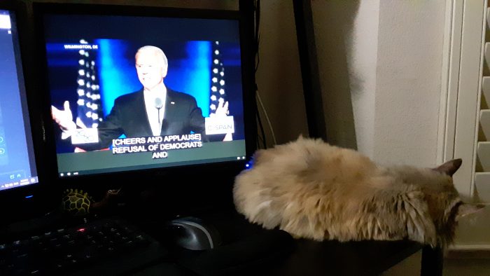 the Biden speech playing on my computer monitor with viola the cat sleeping on the edge of the desk