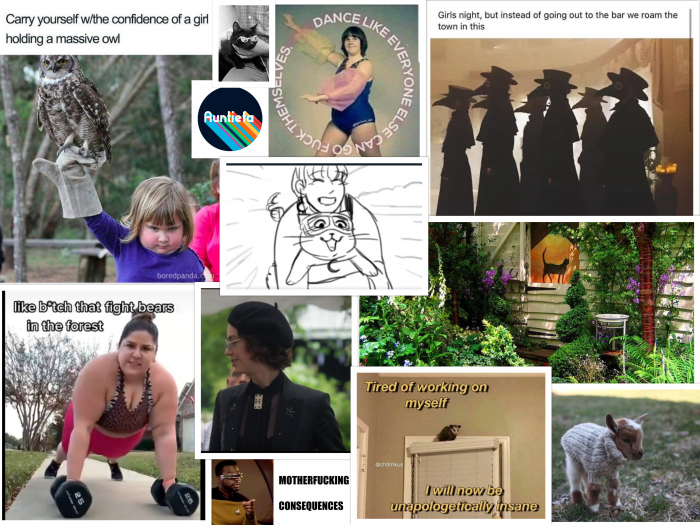 collage of pictures including a garden, a goat in a sweater, a woman lifting weights, a girl with an owl and a cat wearing sunglasses