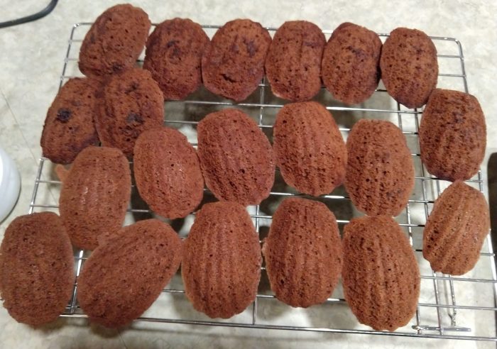 about 20 chocolate madeline cookies on a wire rack