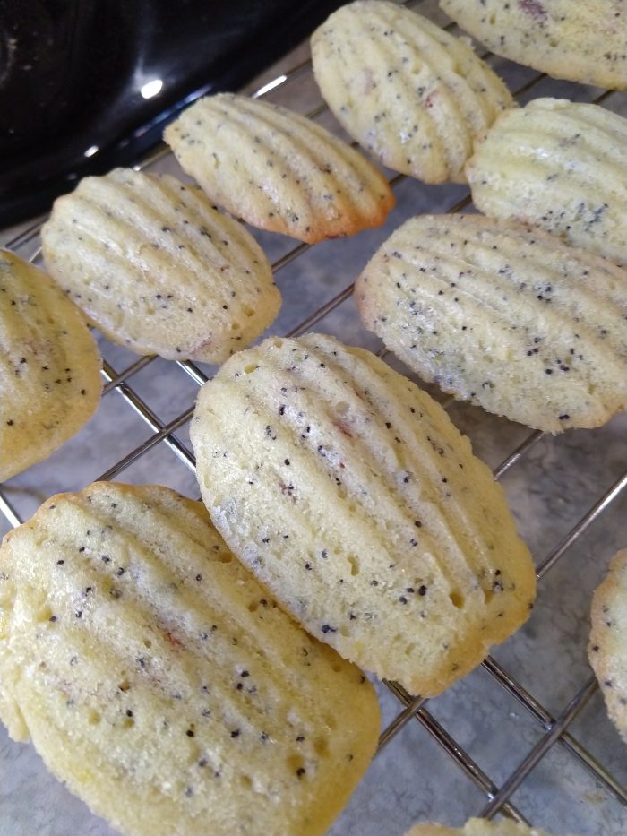 a close-up of almond poppyseed madeleine cookies cooling on a wire rack. Poppy seeds are visible throughout the cookies but the almond slivers don'treally show