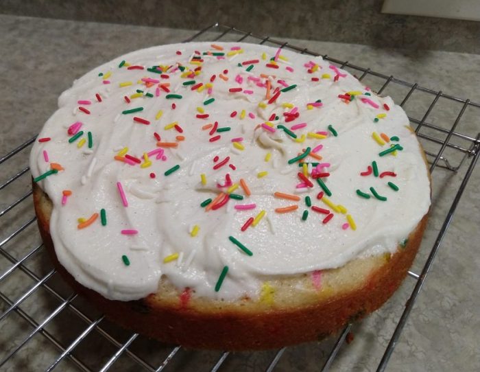 a single layer of vanilla cake covered in frosting and rainbow sprinkles