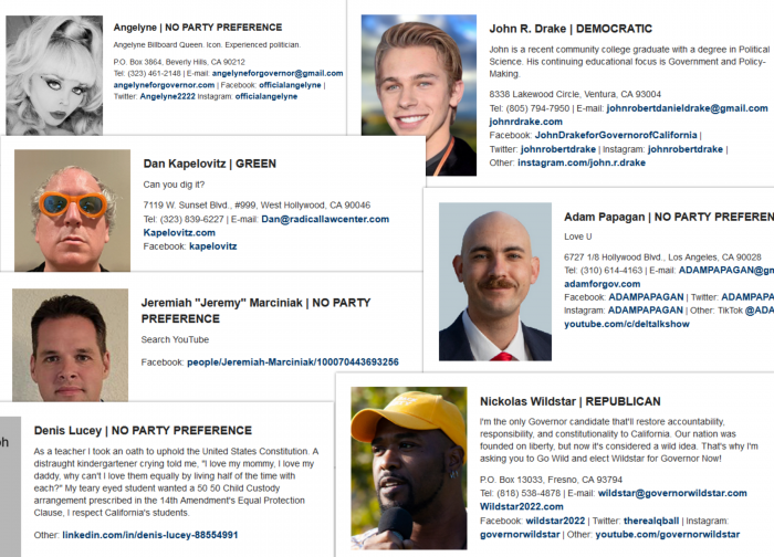 a collage of 7 screenshots of gubernatorial candidate names andn statements. Each have a weird photo or weird statement (or both) such as simply "Love U," Search YouTube" or "Can you dig it?" for three of the candidates.