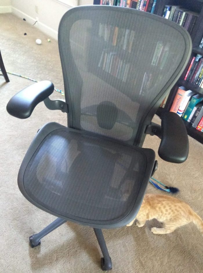 a new desk chair, which Fritz the cat is inspecting