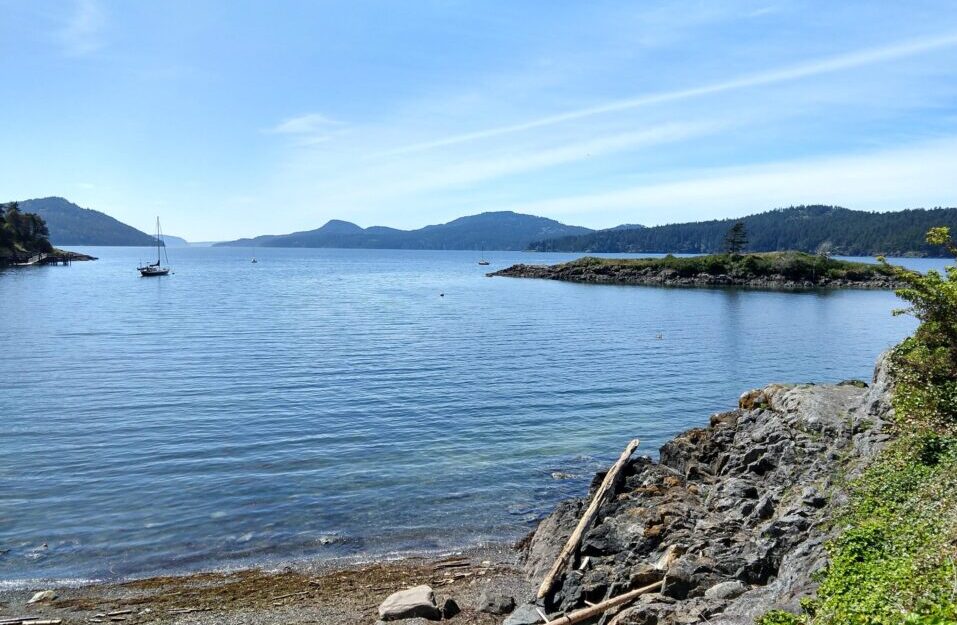 a beach on Orcas island in the daytime. Green trees, driftwood, blue water, and a sailboat in the distance
