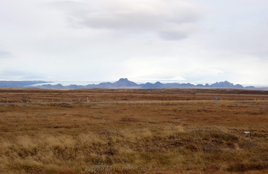 landscape showing golden grasses and craggly mountains with a glacier on the horizon