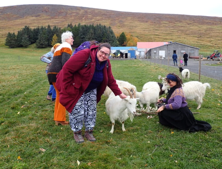 I am crouching down to pet a white Icelandic goat. I look ecstatic (and cute)! The group is in the goat enclosure with everyone being hyped about goats