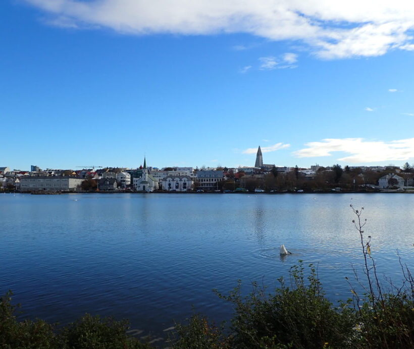 A beautifully blue photo showing the Reykjavík lake and city buildings on the other side of the water, including the Hallgrímskirkja standing out in the background