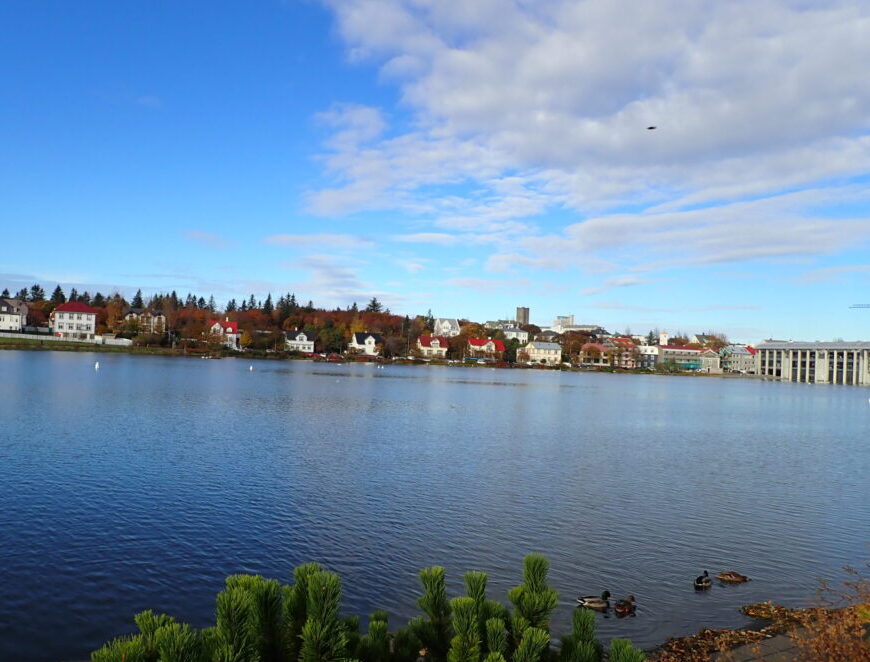 A very blue photo of the Reykjavík lake and a partly cloudy sky showing houses and buildings across the water