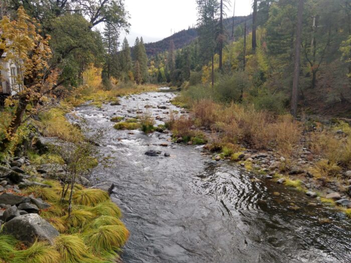 a stream following through pine trees and leafy trees with fall colors in the mountains