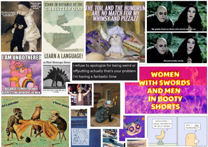 a collage of images including the "eat cheese and sin" rat, a cat in sunglasses, a bi-pride flag covered in the words "women with swords and men with booty shorts," among other whimsical and silly images.