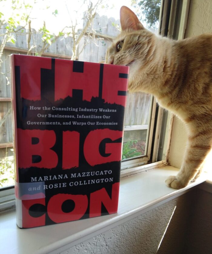 hardback book: The Big Con. Photo taken in front of a window. Fritz the cat is sniffing the corner of the book