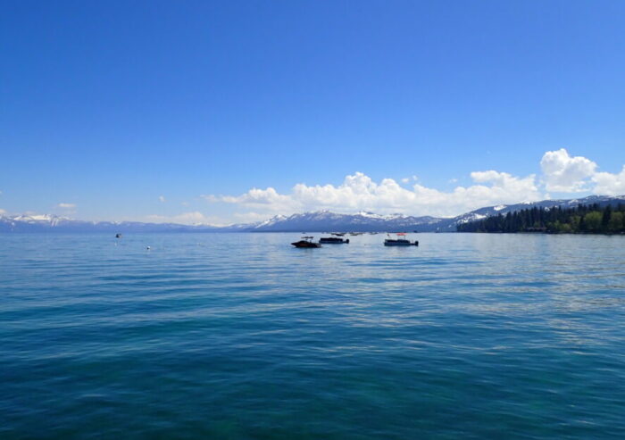 a photo of Lake tahoe taken on the water. There are big pine trees on the shore to one side. The mountains are capped with snow and there are some puffy white clouds above them. There are some boats bobbing in the water.
