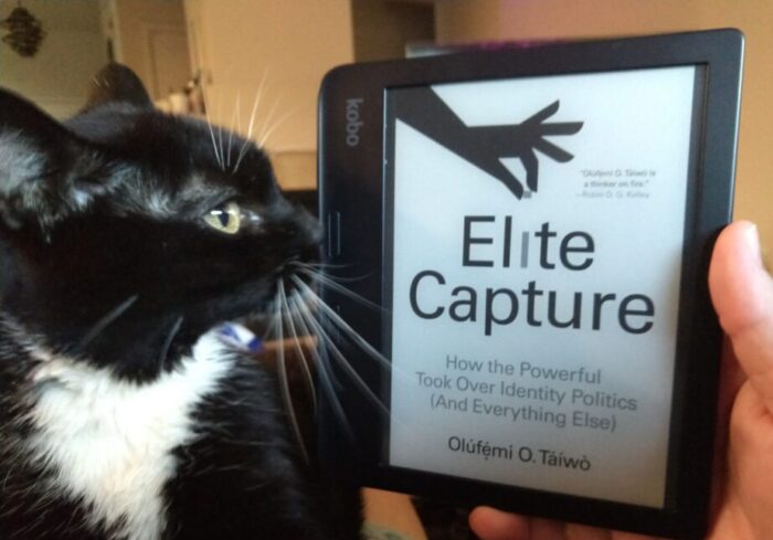 cover of the book Elite Capture shown on ereader. Huey the cat is in profile with her nose booping the ereader