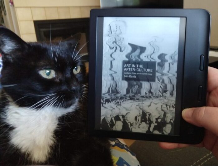 ebook cover of Art in the After-Culture. Huey the cat is next to the book.