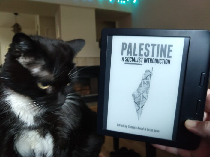 book cover for Palestine: A Socialist Introduction shown on kobo ereader. Huey the cat is sharing the frame.