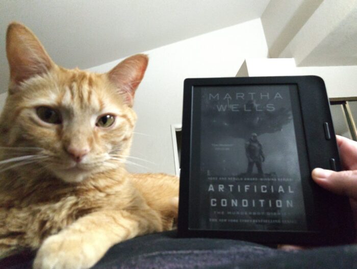 ebook cover for Artificial Condition. Fritz the cat is also in the photo, looking at the camera