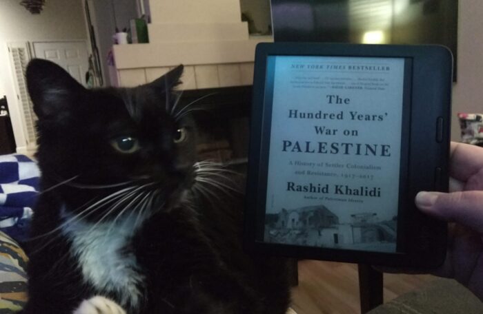 Huey the cat sitting on my lap and looking towards my ereader, which shows the cover of The Hundred Years' War on Palestine
