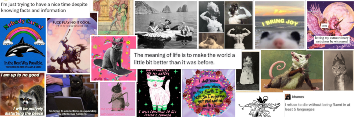 a collage of internet pictures presaging my vibes for 2024. Cats with sunglasses, a shocked opossum, ladies floating in the ocean and eating pasta, among many other images.