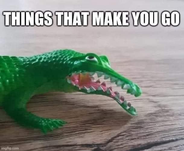 a bent out of shape plastic alligator toy that looks like it's rolling its eyes and sighing. Text says "things that make you go"