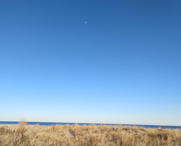 A half moon visible in the daytime. The sky is very blue and scrubby beach plants and the ocean are visible below