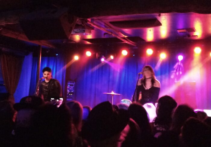 Photo taken during a Vision Video concert. Man with cool hair and goth makeup singing and playing guitar and a woman whose face is blurry on the keyboard