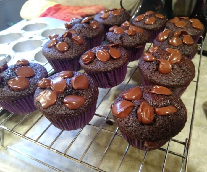 chocolate muffins cooling on a wire rack