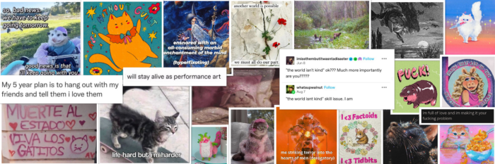 a wide collage of images from the internet, including cats in various states of fabulousness, tumblr screenshots of notes like "I will stay alive as performance art," and Miss Piggy