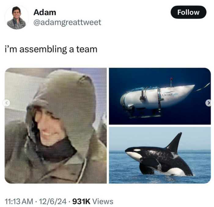 Tweet that reads "I'm assembling a team" with images of the guy who shot the healthcare CEO, an orca, and the Ocean Gate submarine