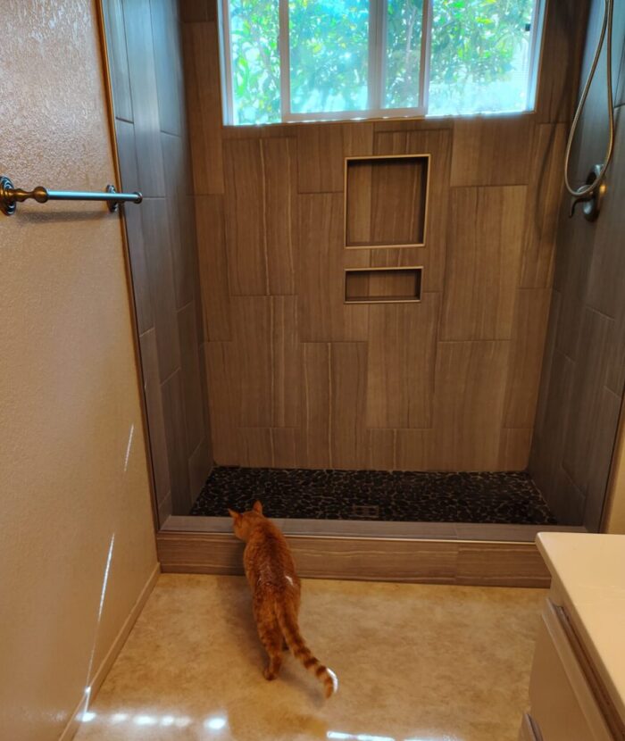 Newly remodeled shower, featuring Fritz the cat sniffing around and investigating