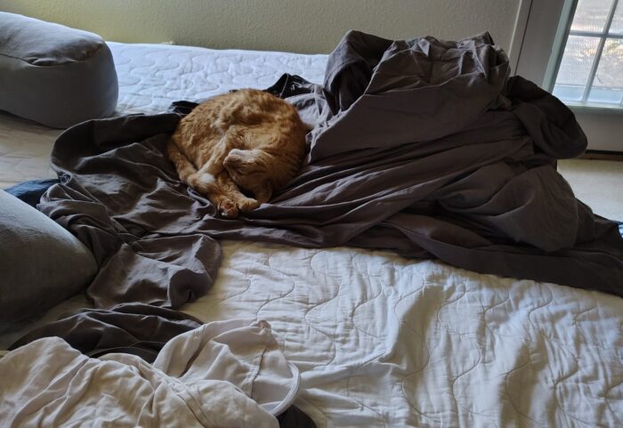 A pile of clean sheets on the bed with Fritz the cat napping in shrimp mode on top of them