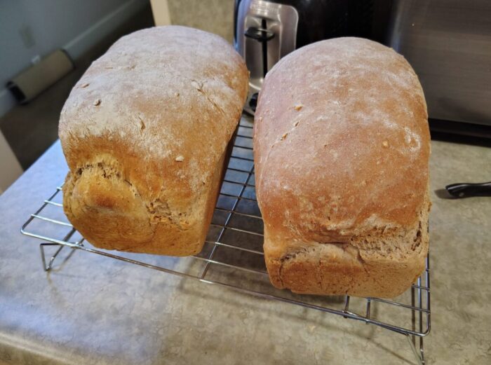 Two freshly baked loaves of bread cooling on a wire rack