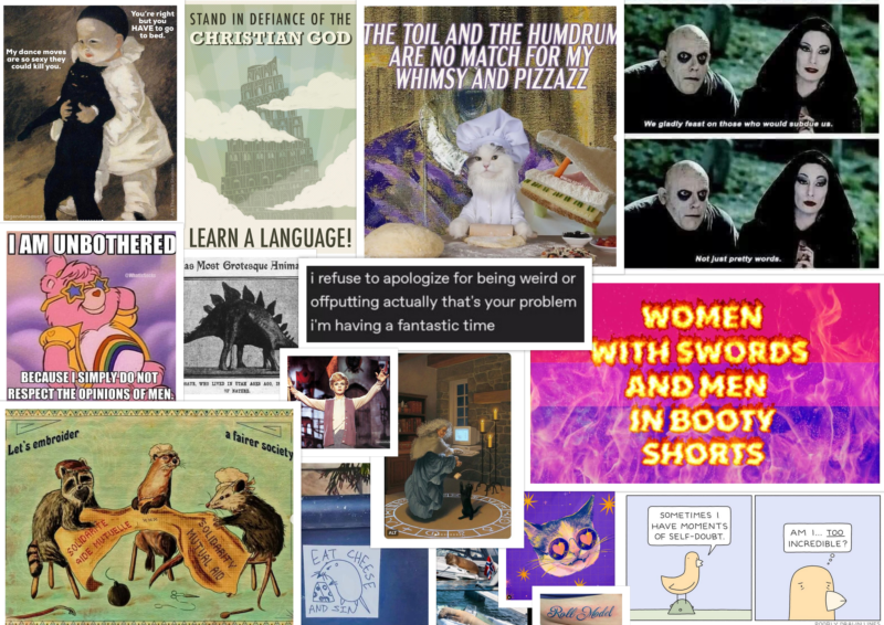 a collage of images including the "eat cheese and sin" rat, a cat in sunglasses, a bi-pride flag covered in the words "women with swords and men with booty shorts," among other whimsical and silly images.