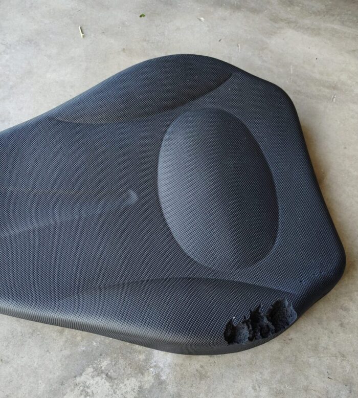 the backrest for the recumbent bike with big chunks taken out of it where the cat felt the need to commit violence