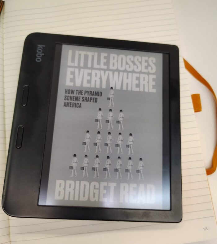 cover for Little Bosses Everywhere shown on Kobo ereader