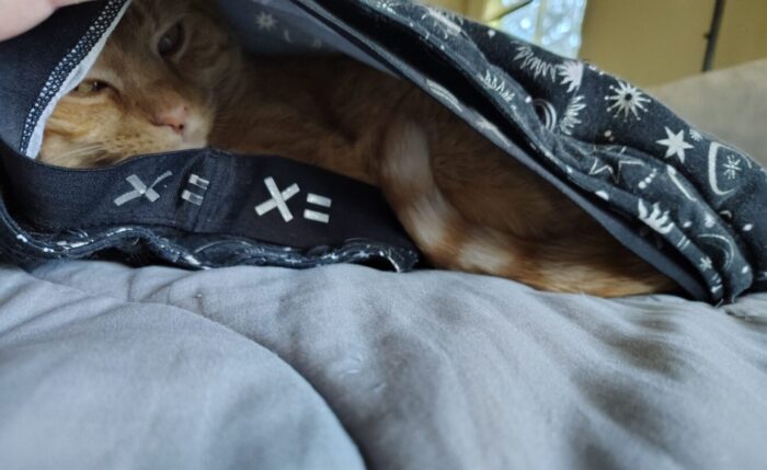 Fritz the cat lounging inside a pair of pajama pants