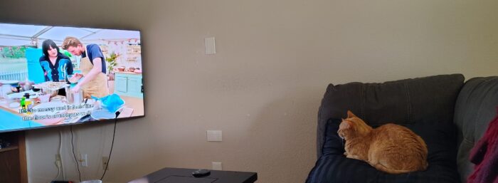 Fritz the cat lounging on the couch looking at the TV, which is playing an episode of the Great British Baking Show