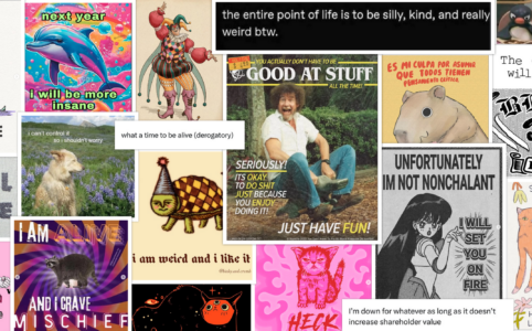 A collage of images to set the vibe for 2026. Including a fake magazine cover that says "you don't have to be good at stuff all the time", a "make soup not war" poster, a medieval-style turtle illustration with the caption "I am weird and I like it," a dolphin with a lisa frank style background that says "next year I will be more insane," and others